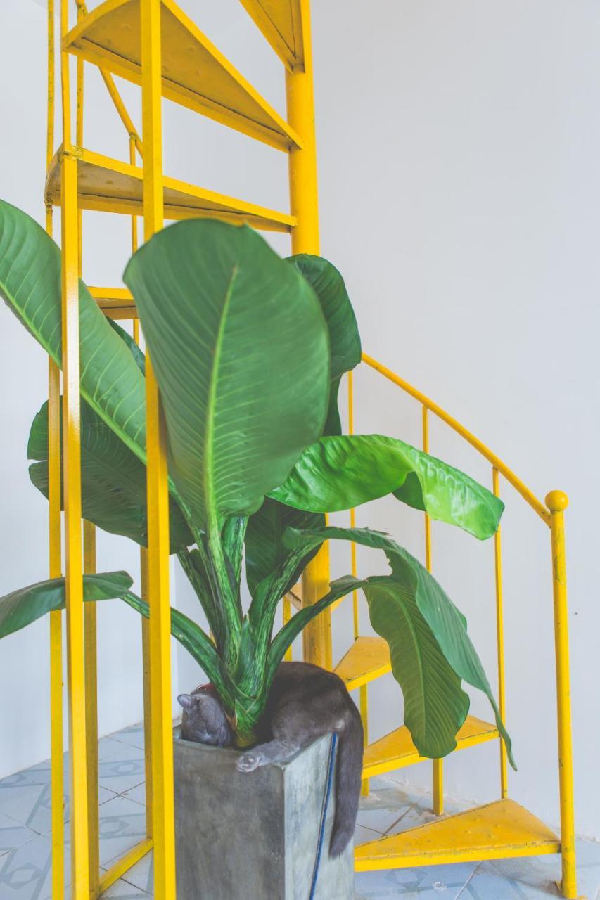 Zone Da Nang Hostel 外观 照片